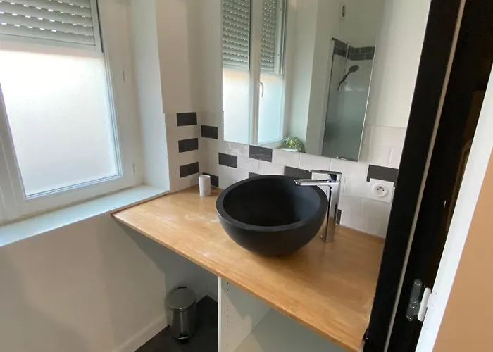 Superbe Spacieux - Cite Des Congres Apartman Nantes